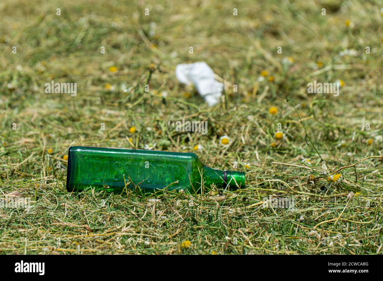 Glass Bottle in Nature, Environmental Pollution Stock Photo Alamy