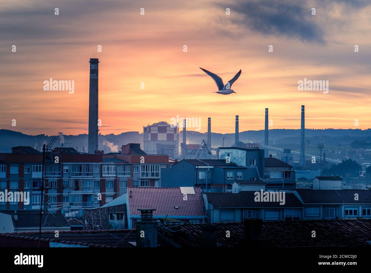 Seagull flying over the industrial landscape of Aviles Stock Photo