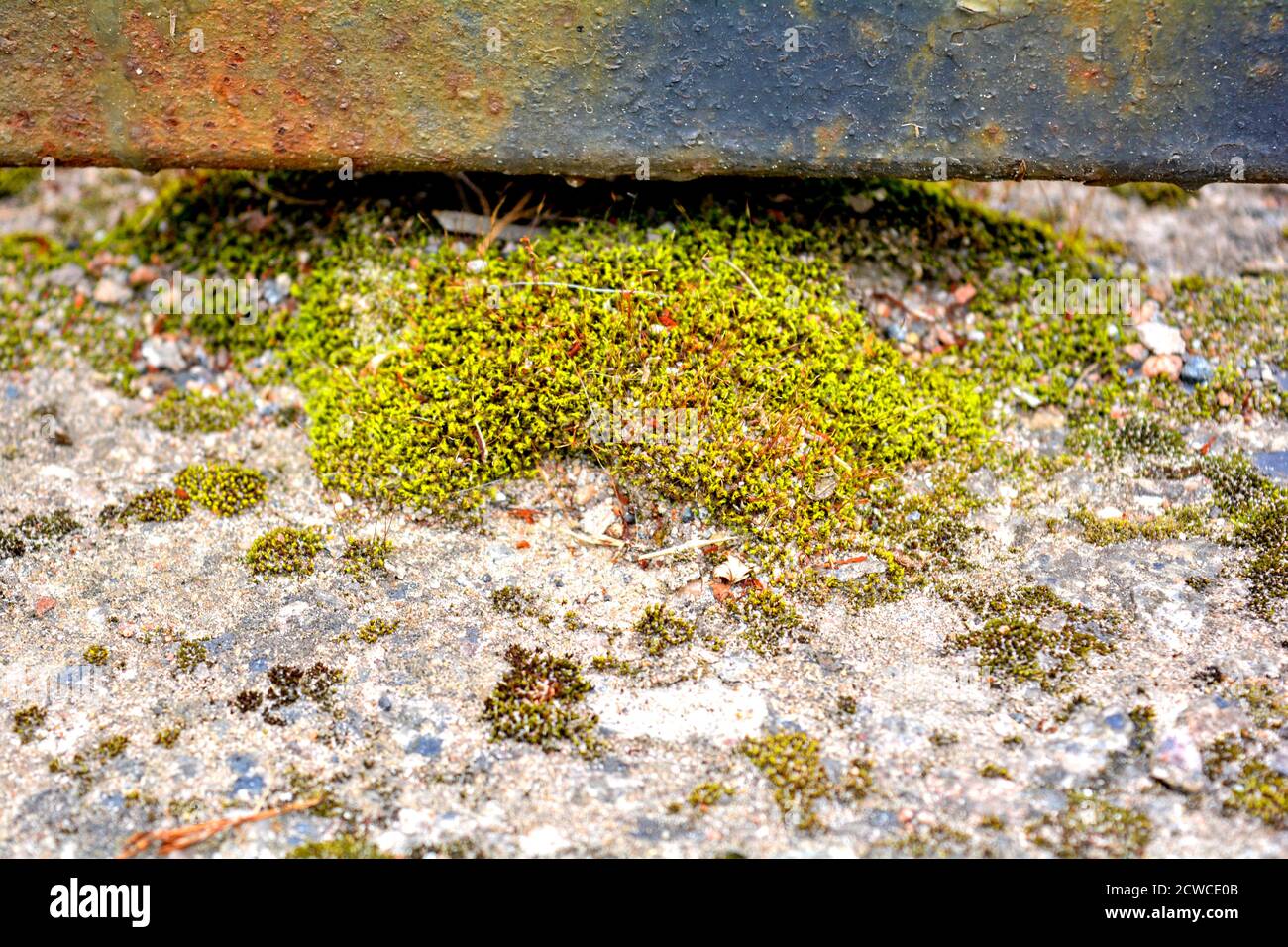 Rusty cast iron rod over old weathered concrete surface covered with