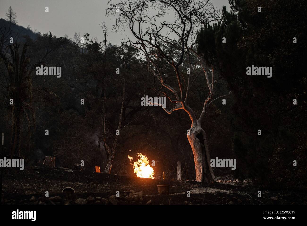 SANTA ROSA, CA - SEPTEMBER 28: Wildfire flames from the Glass Fire ...