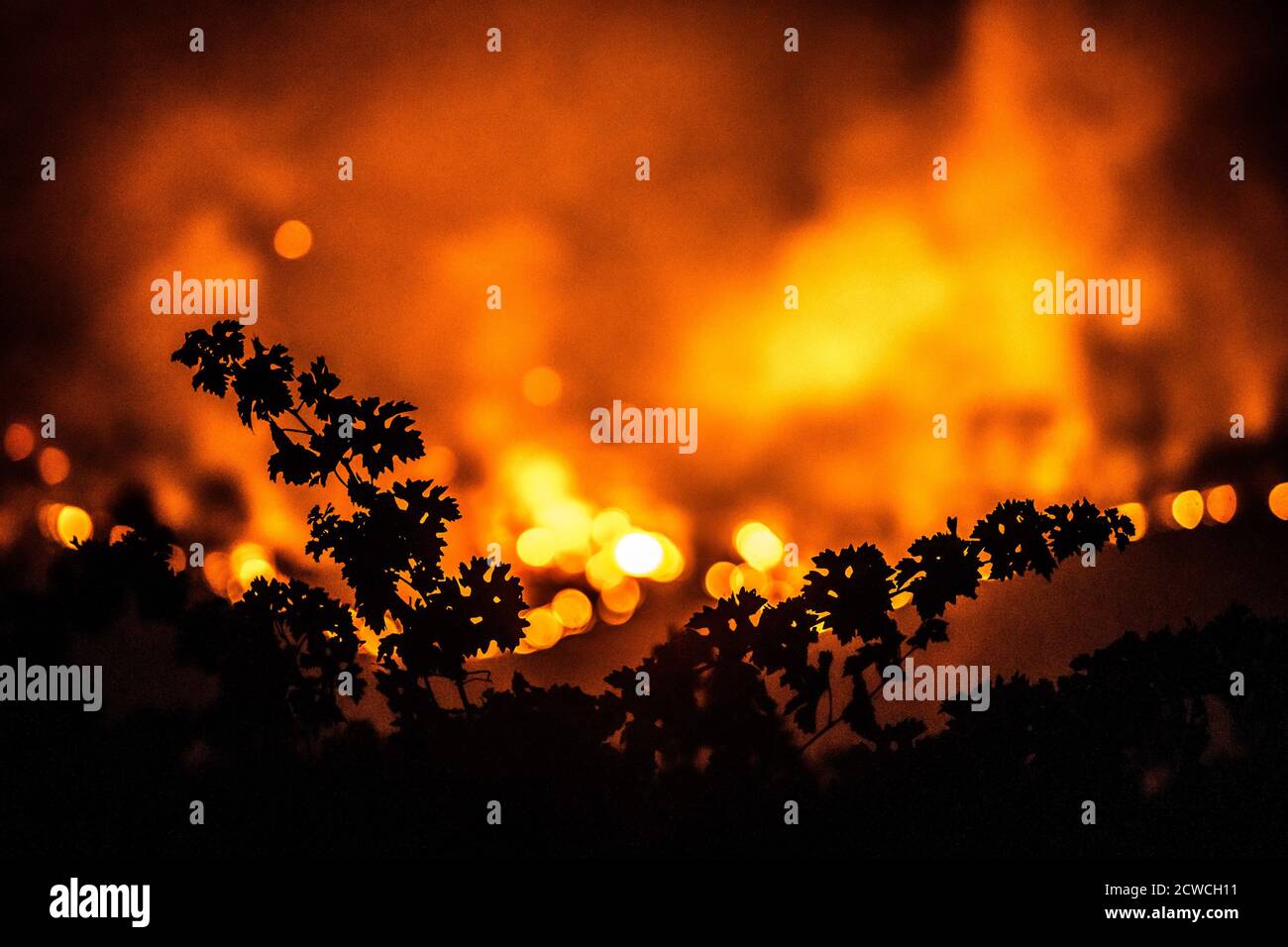 CALISTOGA, CA SEPTEMBER 28 Wildfire flames from the Glass Fire