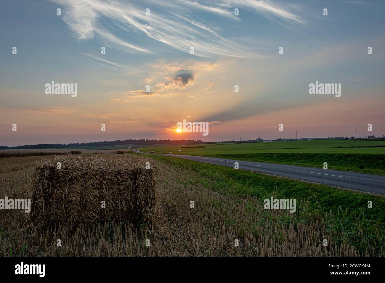 Landscape. Evening landscape in the field. Winding road. Stock photo
