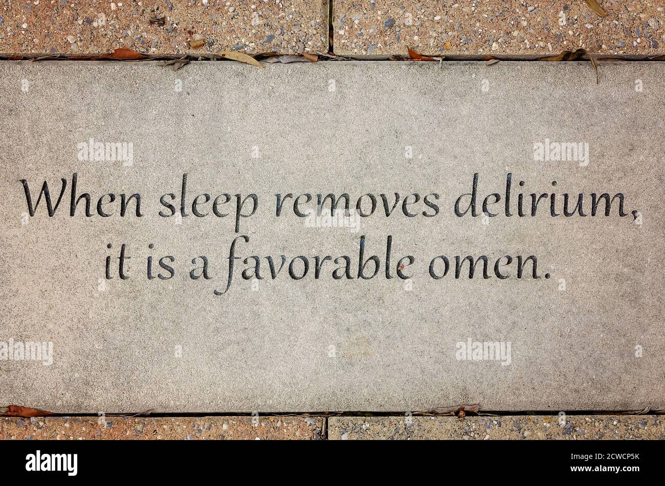 A quote from Hippocrates is inscribed in concrete on the campus of the University of South Alabama, Sept. 26, 2020, in Mobile, Alabama. Stock Photo