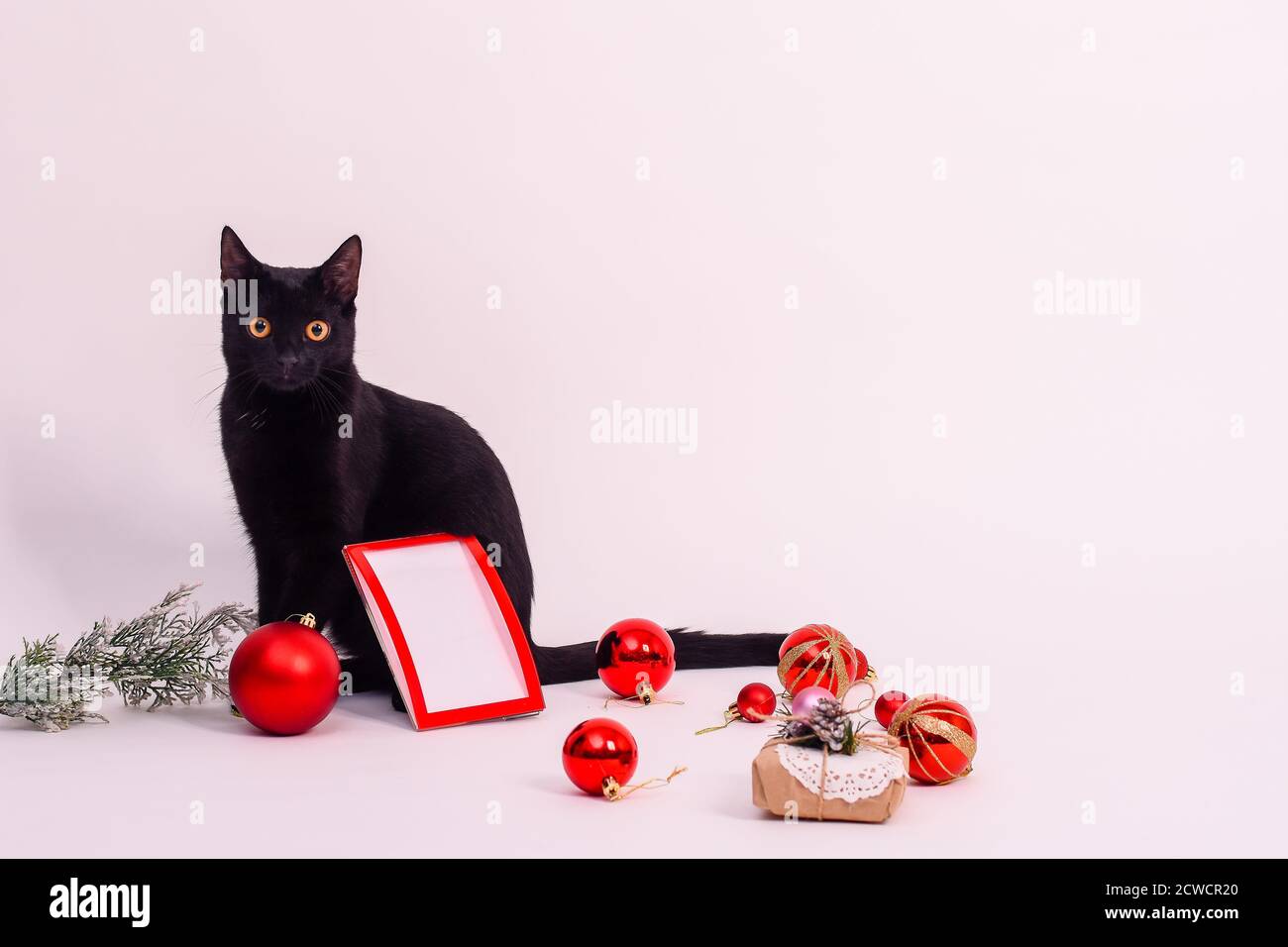 Family portrait studio frame hi-res stock photography and images - Alamy