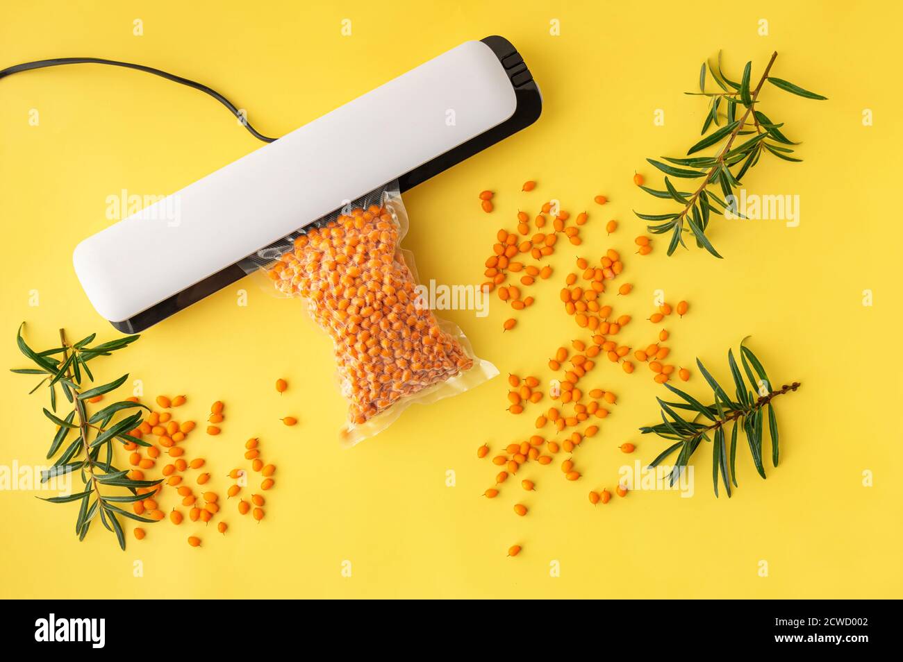 Plastic sealing machine. Vacuum packing of fresh sea buckthorn berries