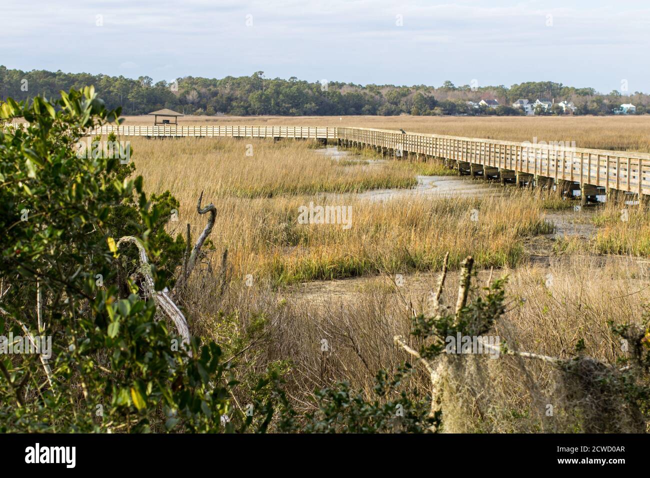 South Carolina Low Country. Boardwalk through the Carolina low country at Huntington Beach State Park between Myrtle Beach and Charleston, SC. Stock Photo