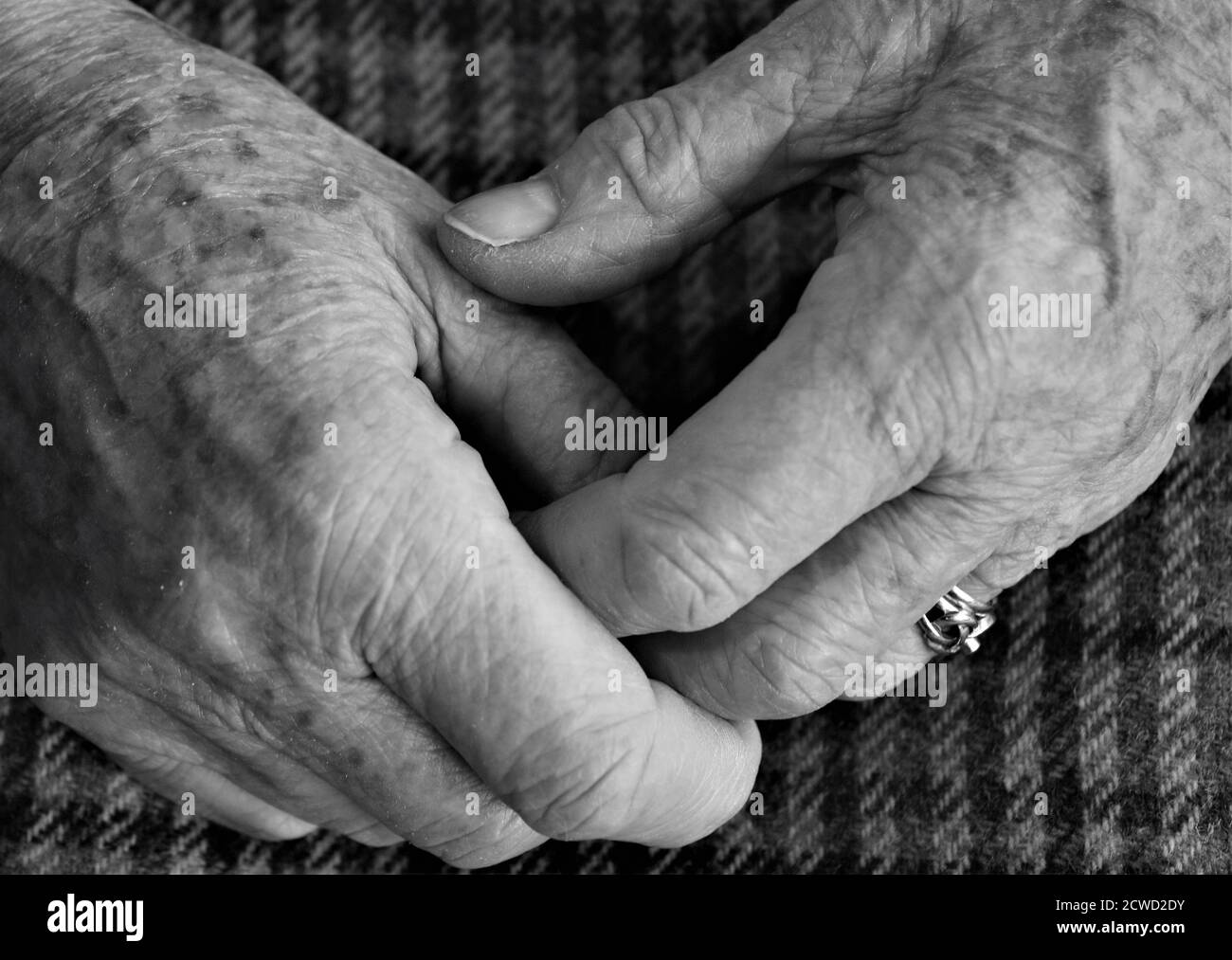 Close up of old lady hands clasped showing fingers and wedding and engagement ring with wrinkled female flesh and brown age spots relaxed seated Stock Photo