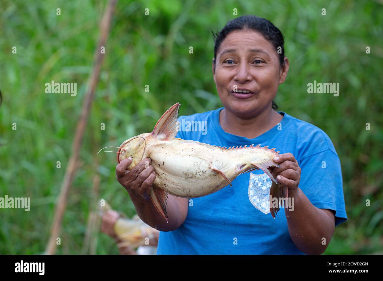 Fisherwoman displaying catfish caught by net on Oxbow lake Atun Poza, Iquitos, Peru. Stock Photo