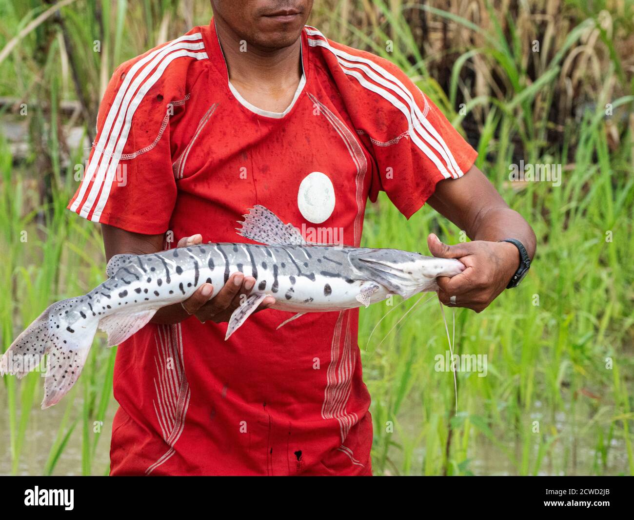 Person fishing close up hires stock photography and images Alamy