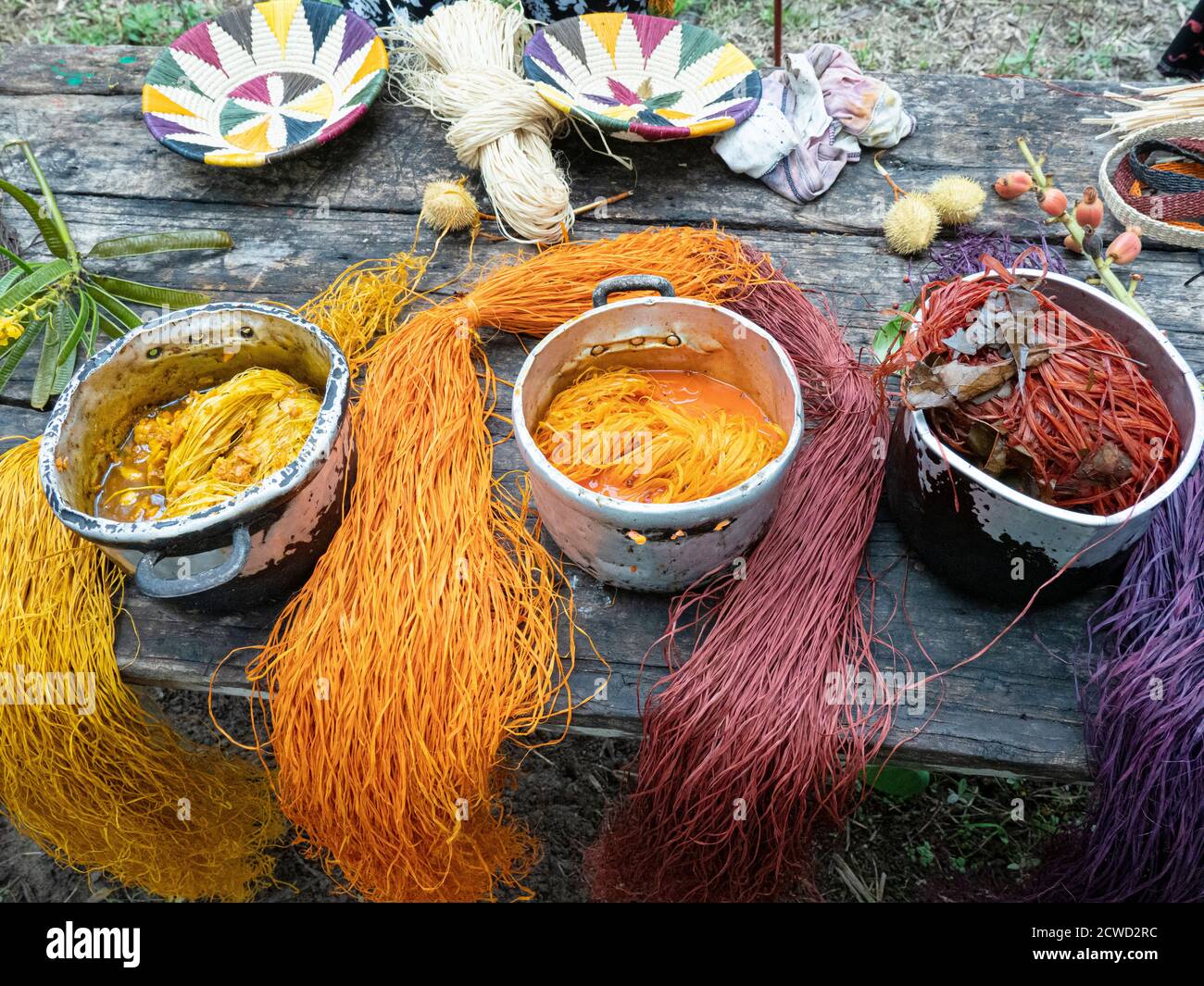 Local crafts people dying fiber to weave baskets in the village of Amazonas, Amazon Basin, Loreto, Peru. Stock Photo