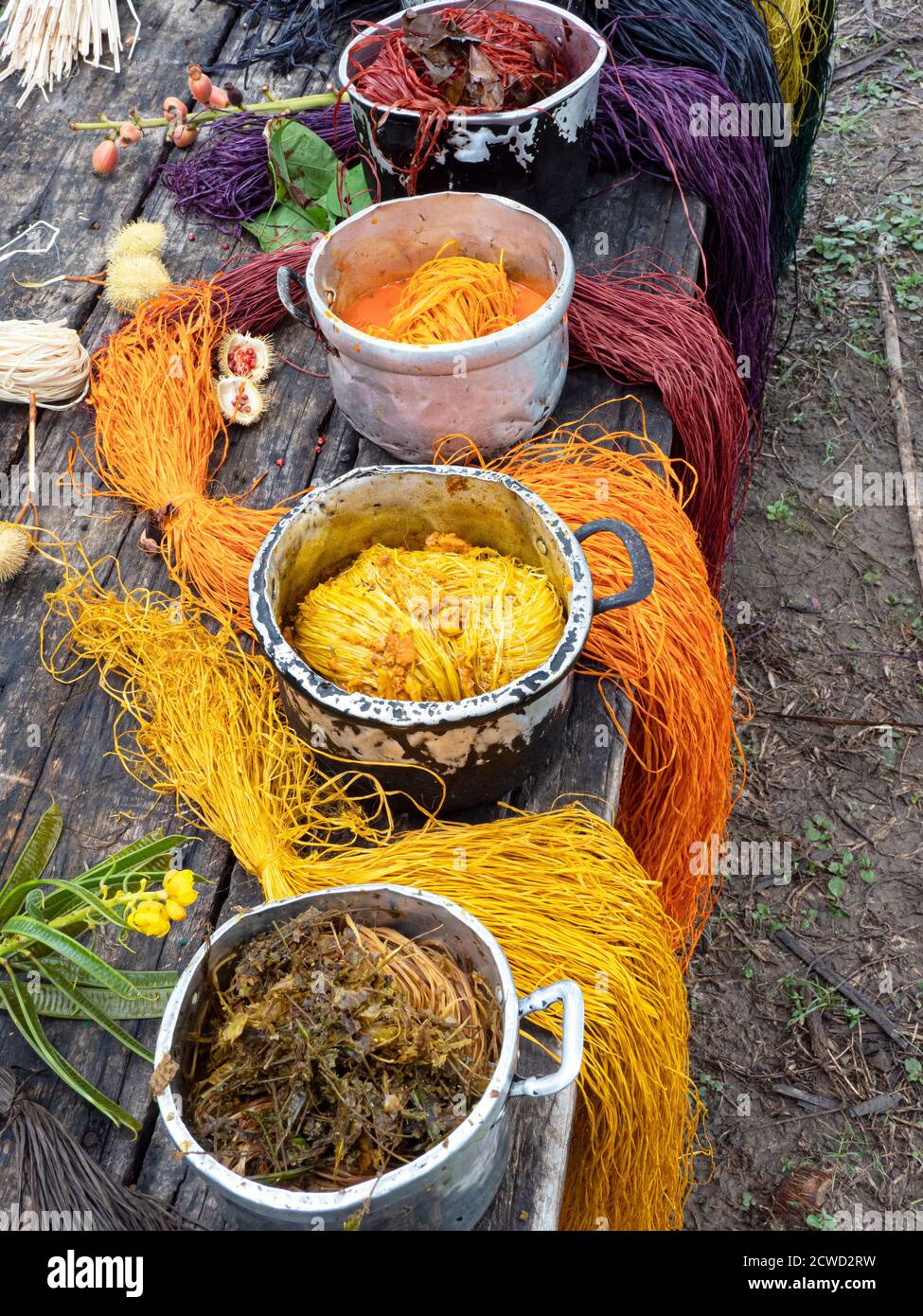 Local crafts people dying fiber to weave baskets in the village of Amazonas, Amazon Basin, Loreto, Peru. Stock Photo