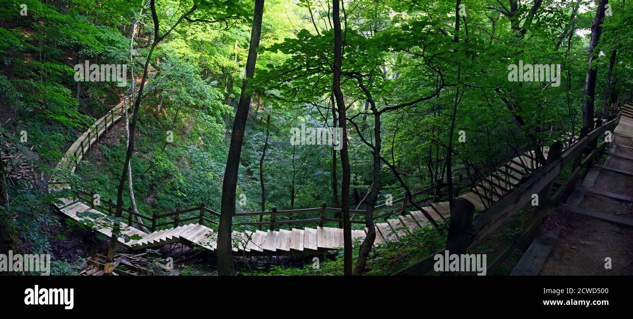 Nature Trail curves through a heavy woods. Sunlight streams in from the canopy for a contrasting lighting. Stock Photo
