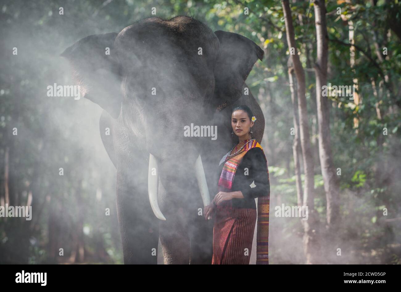 Beautiful thai woman spending time with the elephant in the jungle Stock Photo