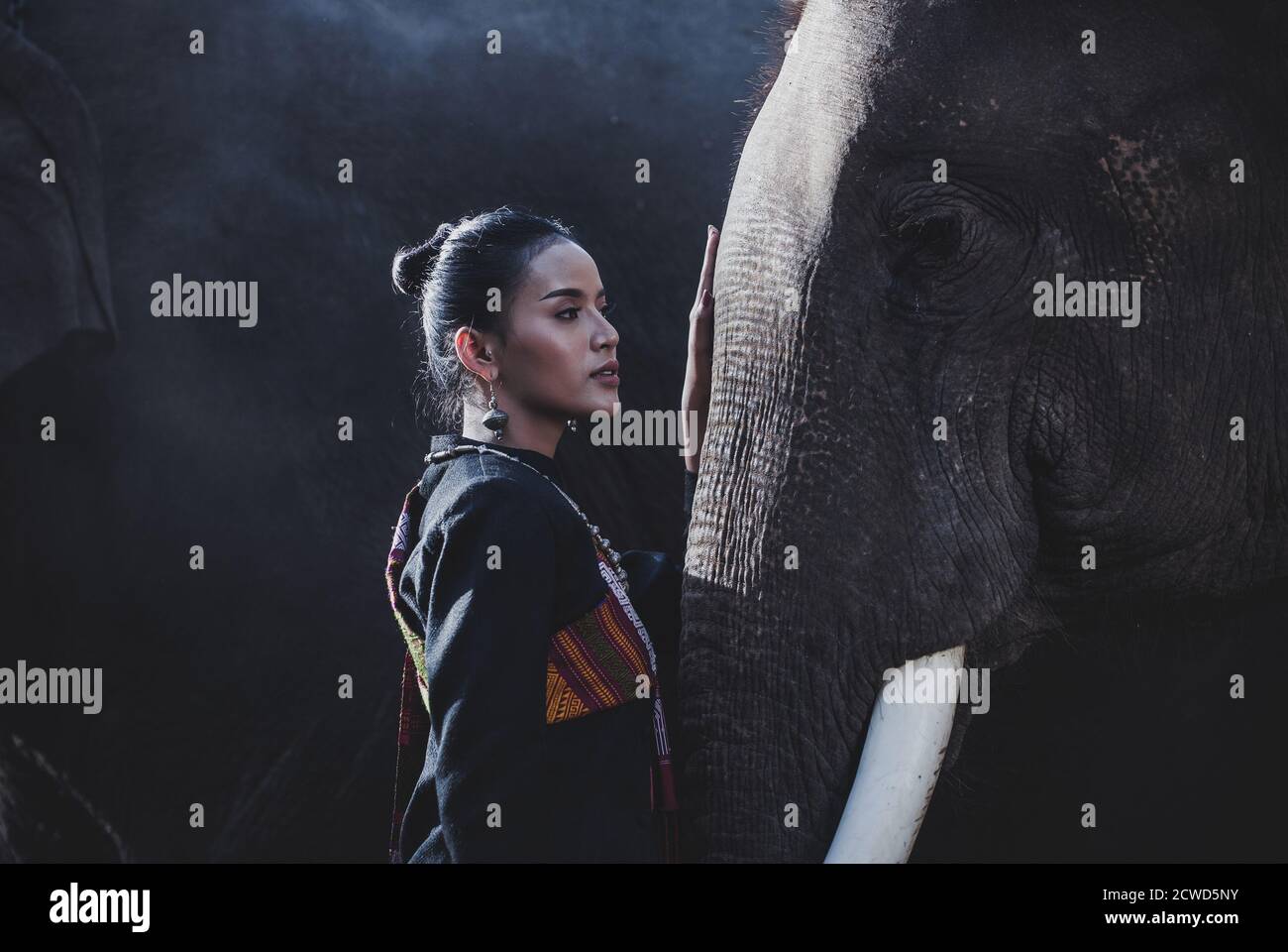 Beautiful thai woman spending time with the elephant in the jungle Stock Photo