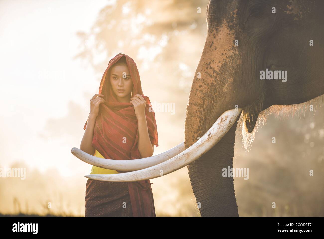 Beautiful thai woman spending time with the elephant in the jungle Stock Photo