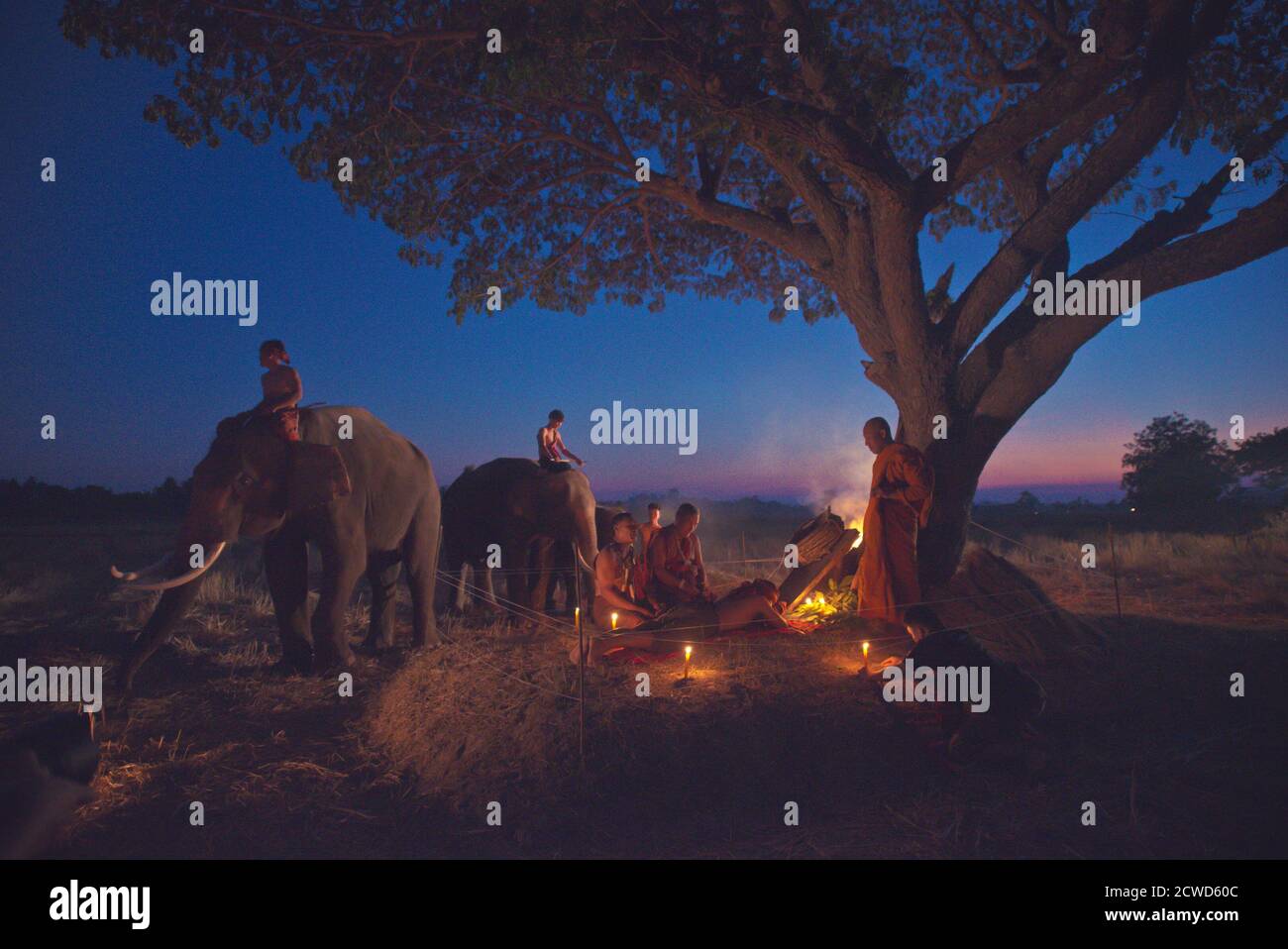 Thai purification ritual in the countryside with monks Stock Photo - Alamy