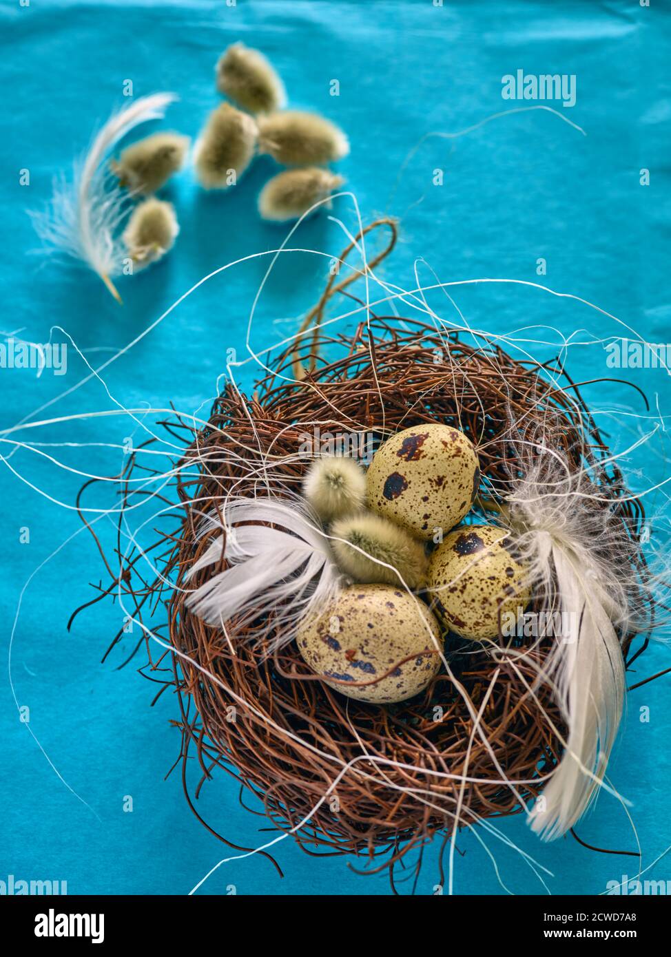 Quails eggs. This is traditional Polish Easter table decoration. Stock Photo