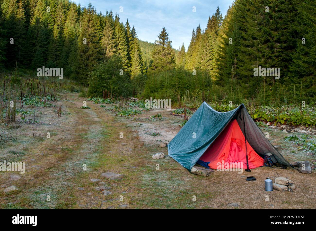 tourist tent stands on a green meadow against the backdrop of forests ...