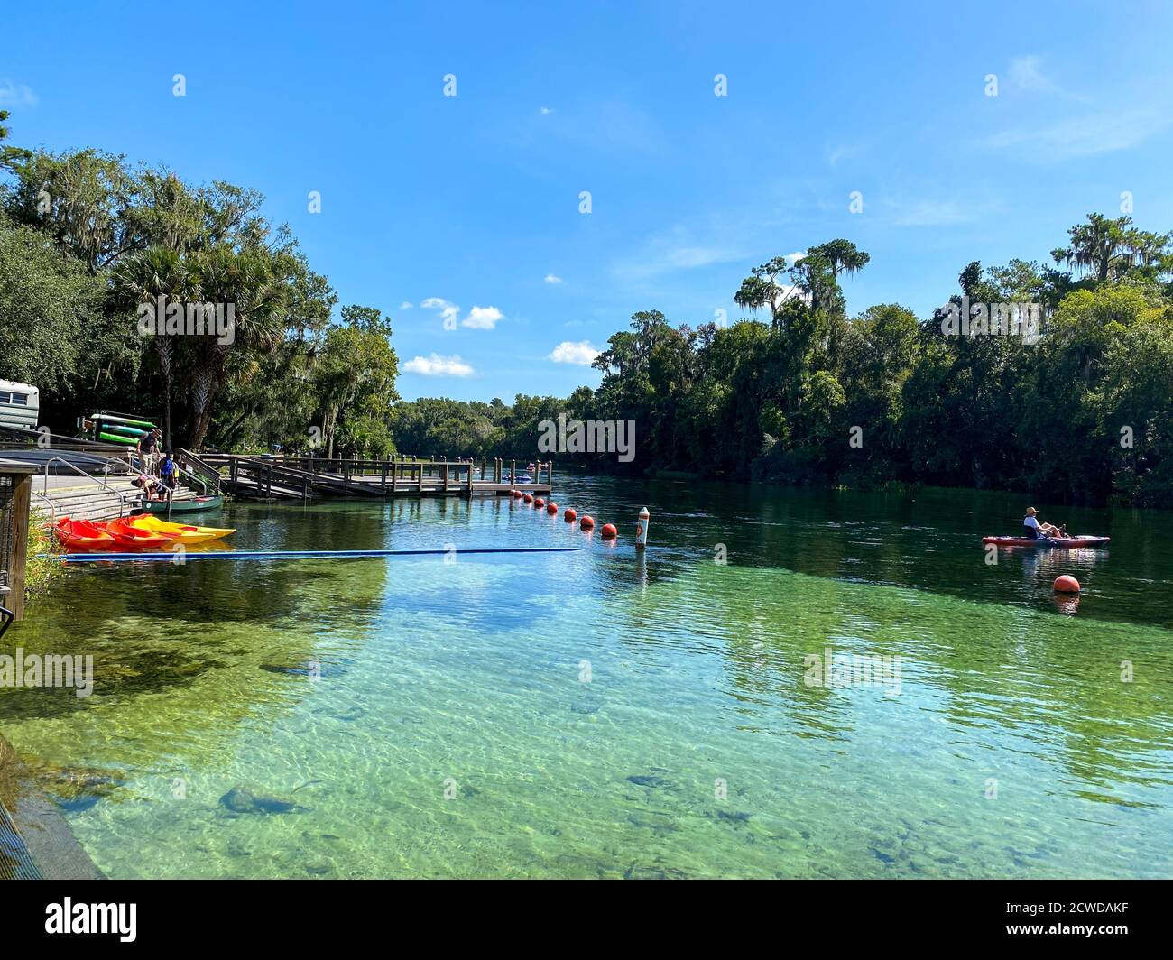 Dunnellon, FL/USA - 9/2/20:  The Rainbow River near KP Hole County park  in Dunnellon, Florida. Stock Photo