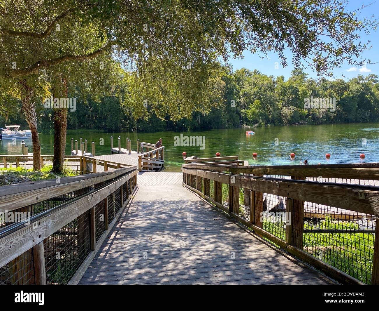 Dunnellon, FL/USA 9/2/20 The Rainbow River near KP Hole County park