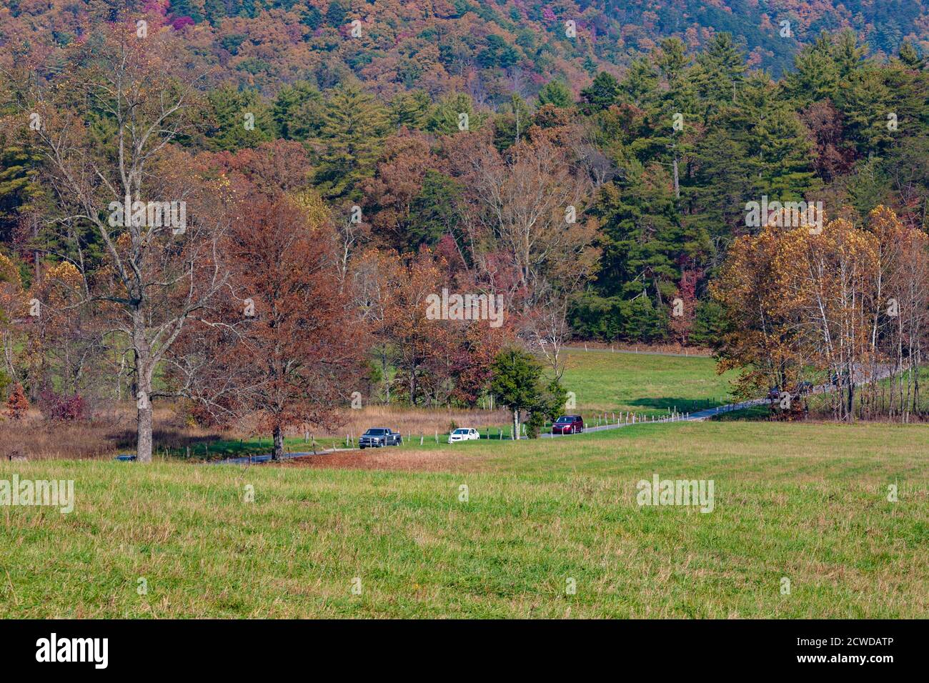 Car traffic on Loop Road at Cades Cove in the Great Smoky Mountains Nationial Park, Tennessee Stock Photo