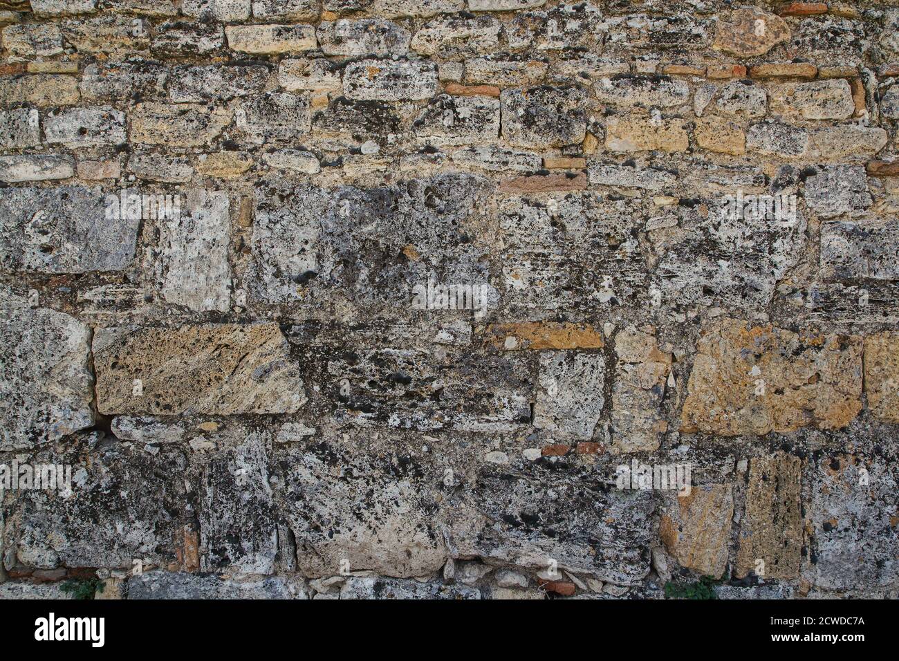 Texture of an old stone wall. Vintage background from shell rock Stock ...