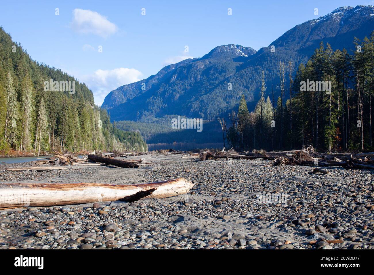 A river bed in the Squamish valley in British-Columbia, Canada