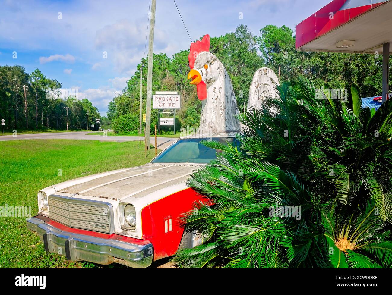 A giant chicken sits atop a 1977 El Camino in front of a Citgo gas station, Sept. 17, 2020, in Irvington, Alabama. The statues attract attention to th Stock Photo