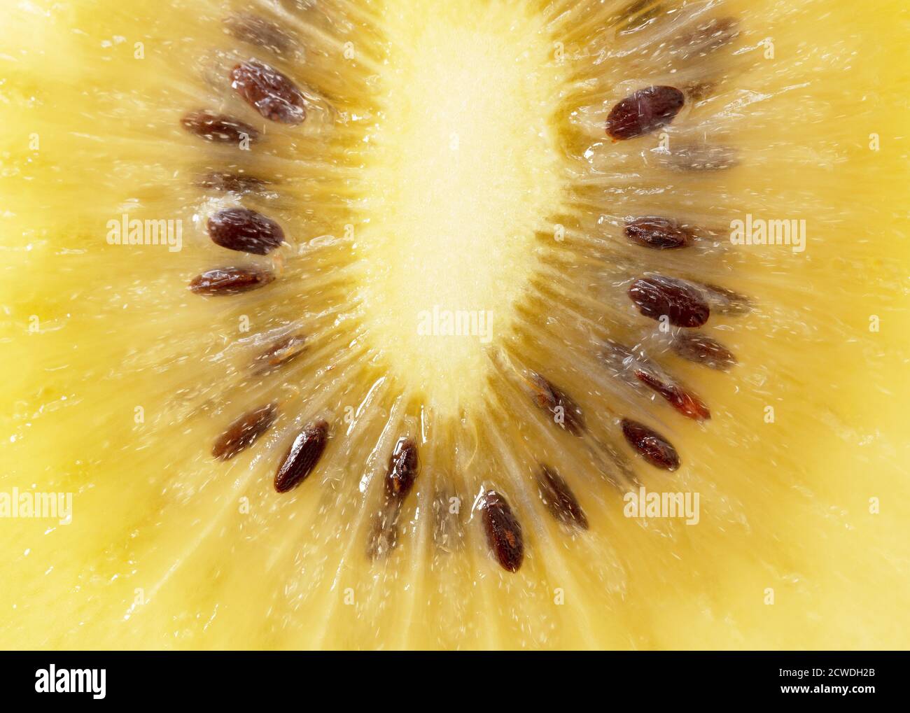 Close up isolated kiwi hi-res stock photography and images - Alamy