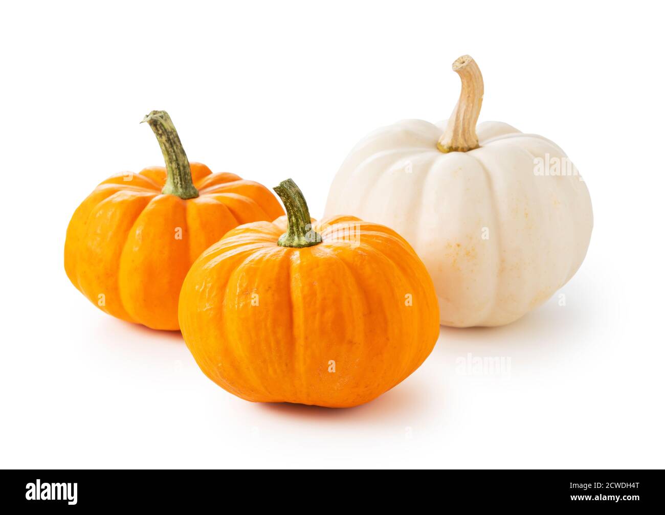 Orange and white pumpkin on a white background Stock Photo