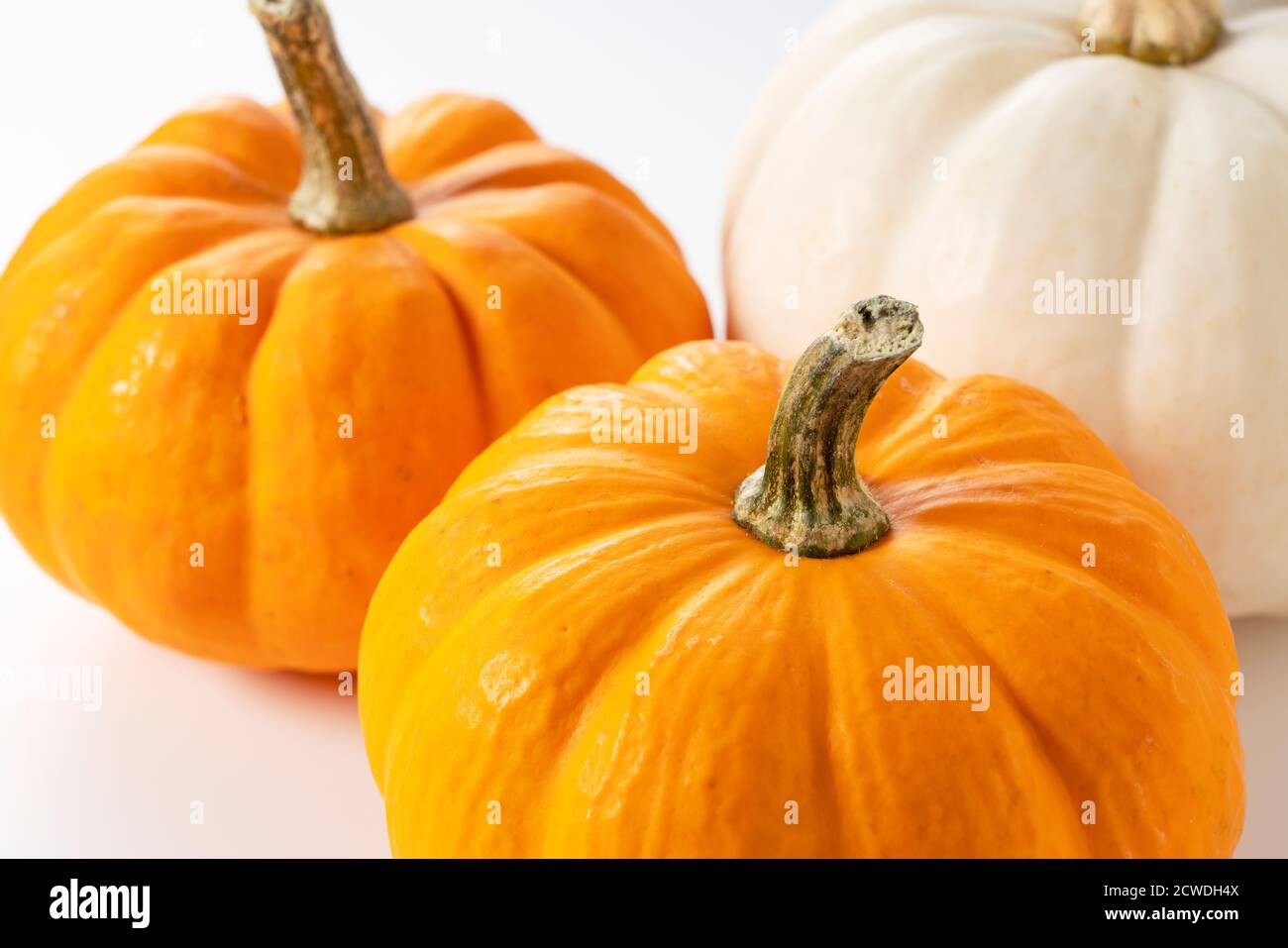 Orange and white pumpkin on a white background Stock Photo