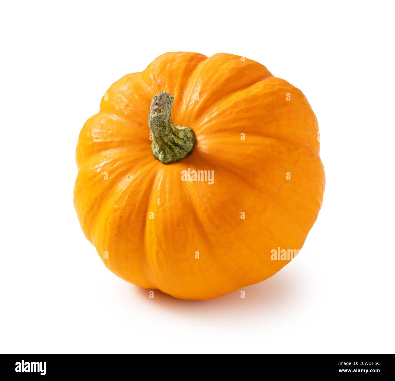 Orange pumpkin on a white background Stock Photo