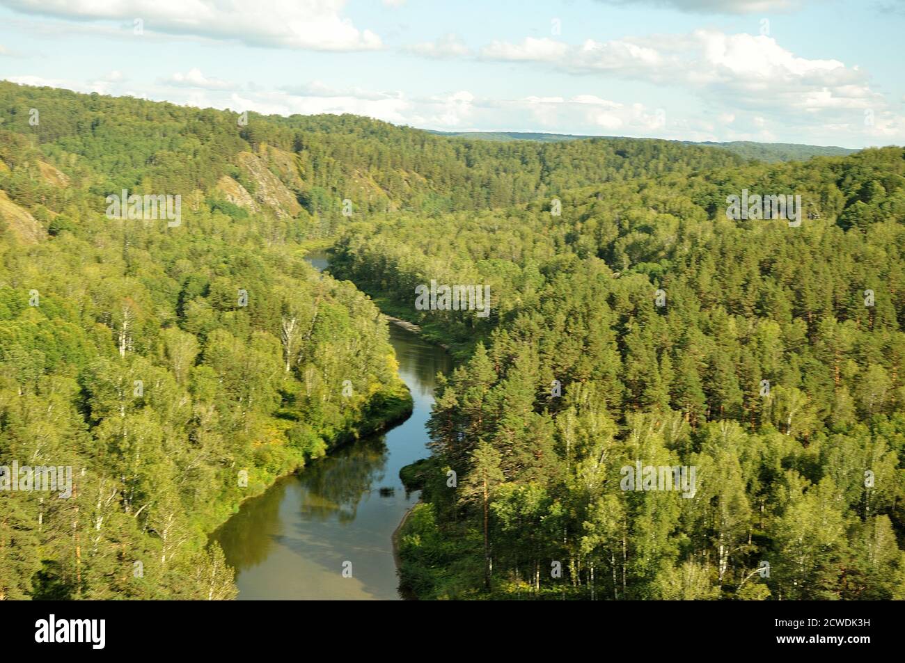 Top view of a winding calm river flowing through a dense coniferous forest. Berd river, Novosibirsk region. Stock Photo