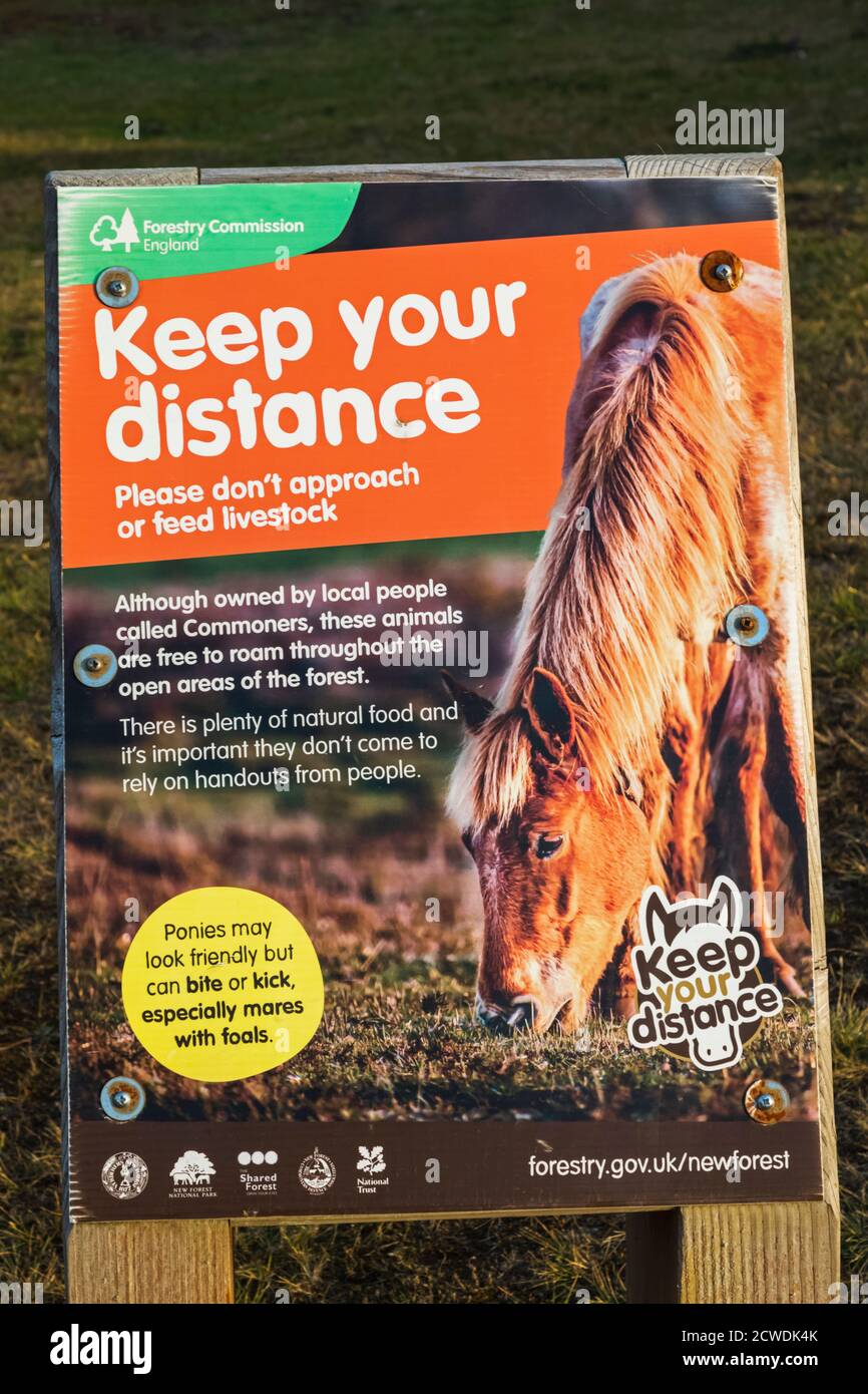 England, Hampshire, New Forest, Keep Your Distance From Animals Warning Sign Stock Photo