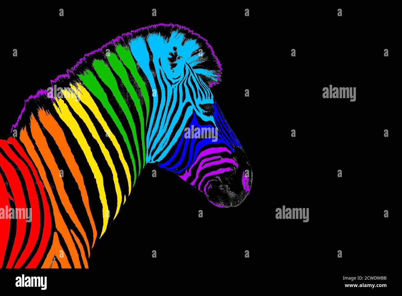 Rainbow Neon Zebra Backgrounds