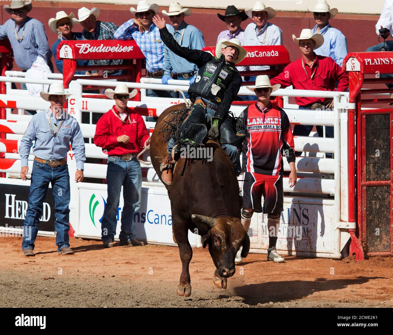 101st Calgary Stampede rodeo 