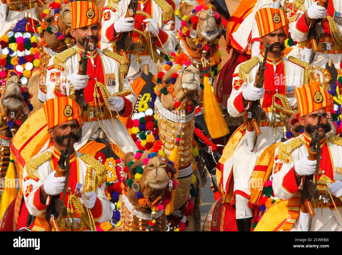 India defence camels hi-res stock photography and images - Alamy