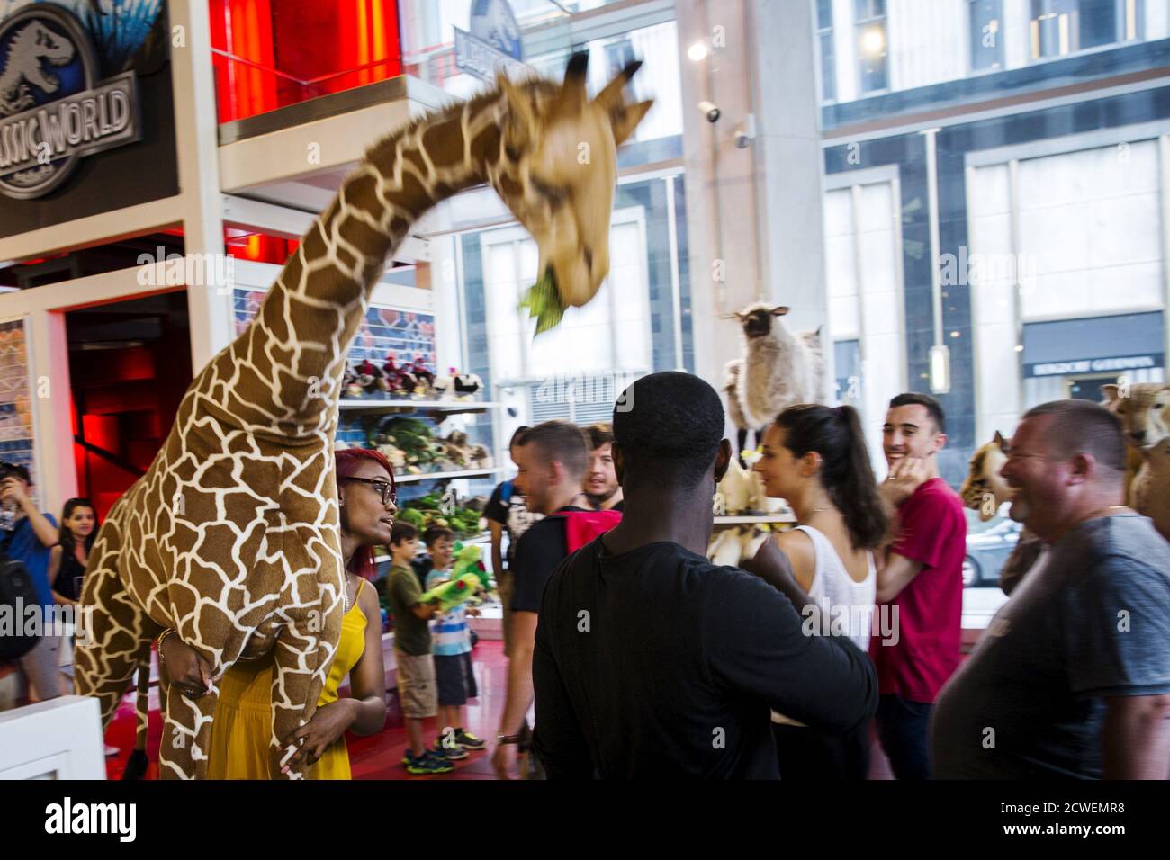 schwarz giraffe