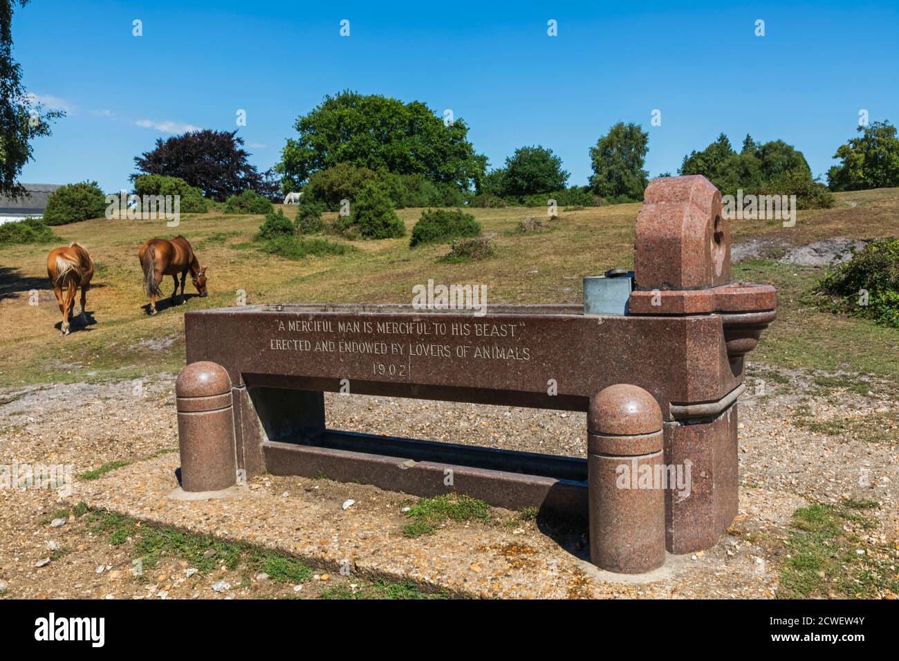 England, Hampshire, New Forest, Horse Trough at Parc Pole near Lyndhurst Stock Photo