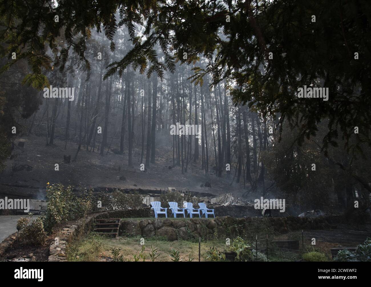 Angwin, United States. 29th Sep, 2020. Four blue plastic chairs and a patch of grass sit in front of a burned residence in Angwin, California on Tuesday, September 29, 2020. The Glass Fire has burned over 40,000 acres and is only 2% contained. Photo by Terry Schmitt/UPI Credit: UPI/Alamy Live News Stock Photo