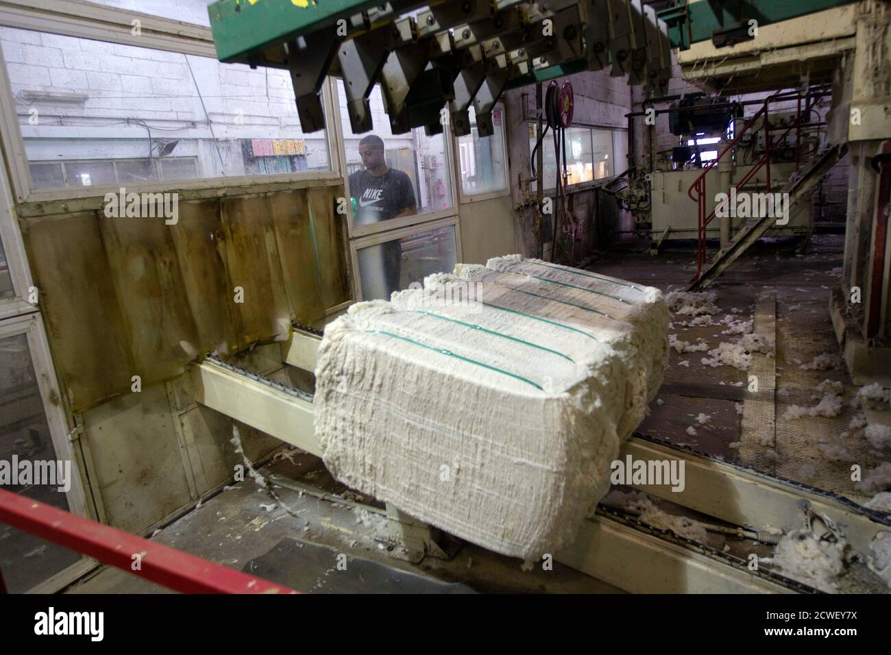 Processed cotton bales are seen at a ginning factory near the southern city  of Ashdod October 21, 2012. Israel will harvest about 15,000 tons of cotton  this year, Israel Cotton Board's CEO