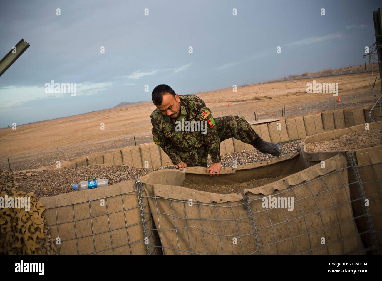 alamy