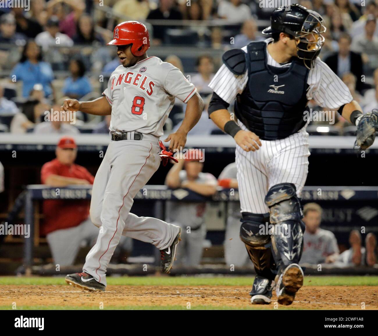 Los Angeles Angels runner Chris Nelson attempts to score past New York Yankees catcher Austin Romine (R) after tagging up at third base on a fly ball out in the sixth inning of their MLB American League game at Yankee Stadium in New York, August 13, 2013. Nelson was ruled out in a double play because he left third base early, ending the inning with no score. REUTERS/Ray Stubblebine (UNITED STATES - Tags: SPORT BASEBALL) Stock Photo