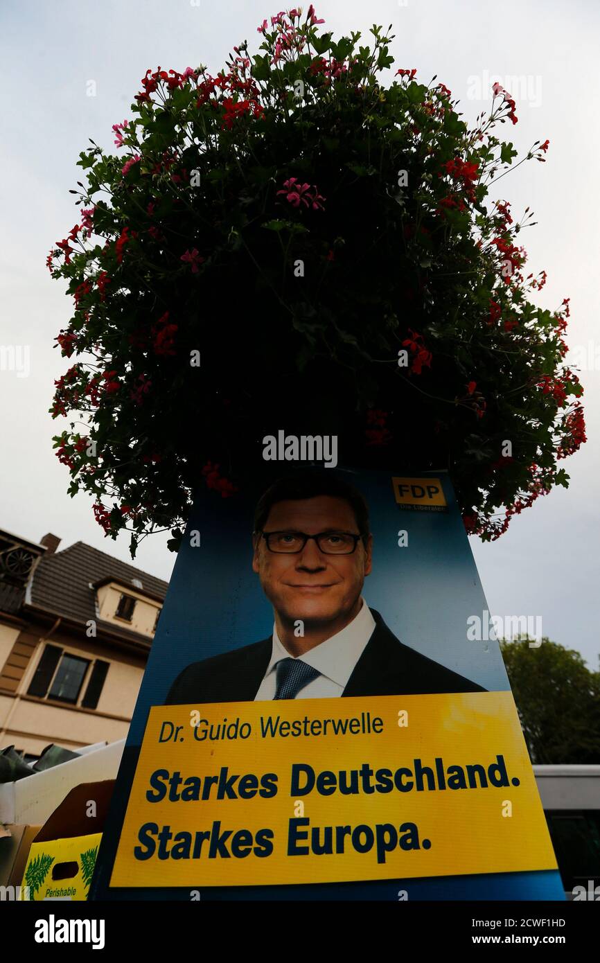 An election campaign poster of German Foreign Minister Guido Westerwelle from the liberal Free Democratic Party (FDP) is placed under a flower pot in the western German town of Bad Honnef near Bonn September 19, 2013. Germany will hold a general election on September 22 in which German Chancellor Angela Merkel is running for a third term with her preferred coalition partner FDP.     REUTERS/Wolfgang Rattay   (GERMANY - Tags: POLITICS ELECTIONS) Stock Photo