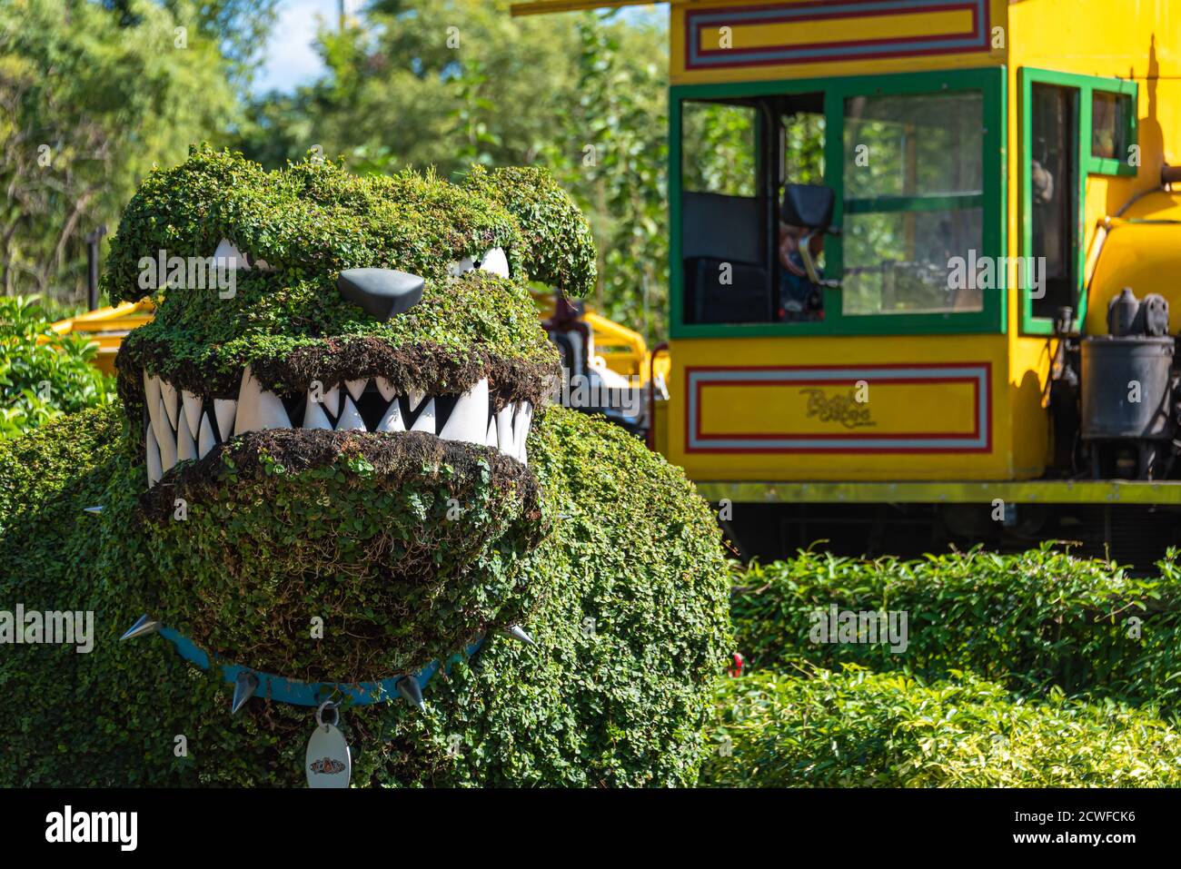 Bulldog topiary plant sculpture at Busch Gardens Tampa Bay in Tampa, Florida. (USA) Stock Photo