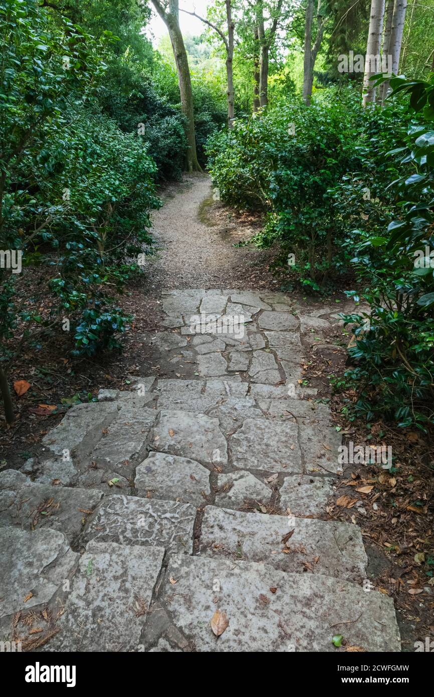 Empty forest footpath hi-res stock photography and images - Alamy