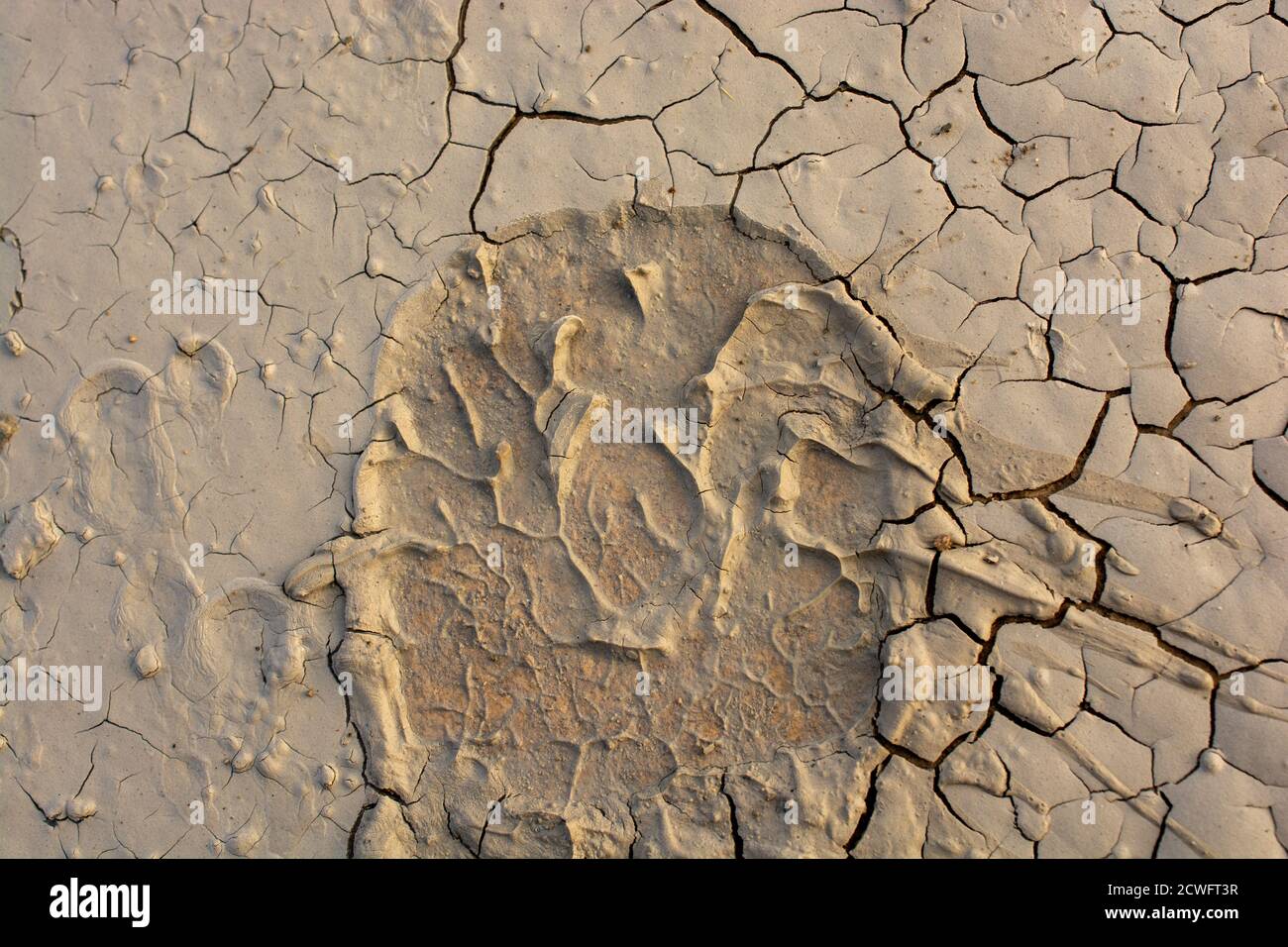 Footstep pattern on as abstract grunge background patterns Stock Photo