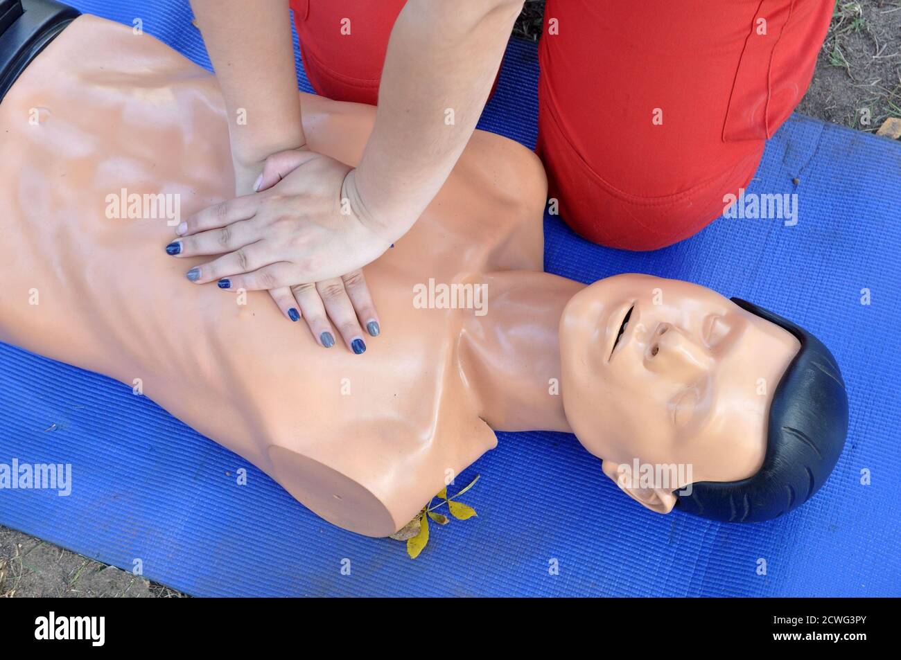 dummy for training in the implementation of resuscitation measures. Indirect cardiac massage. Stock Photo