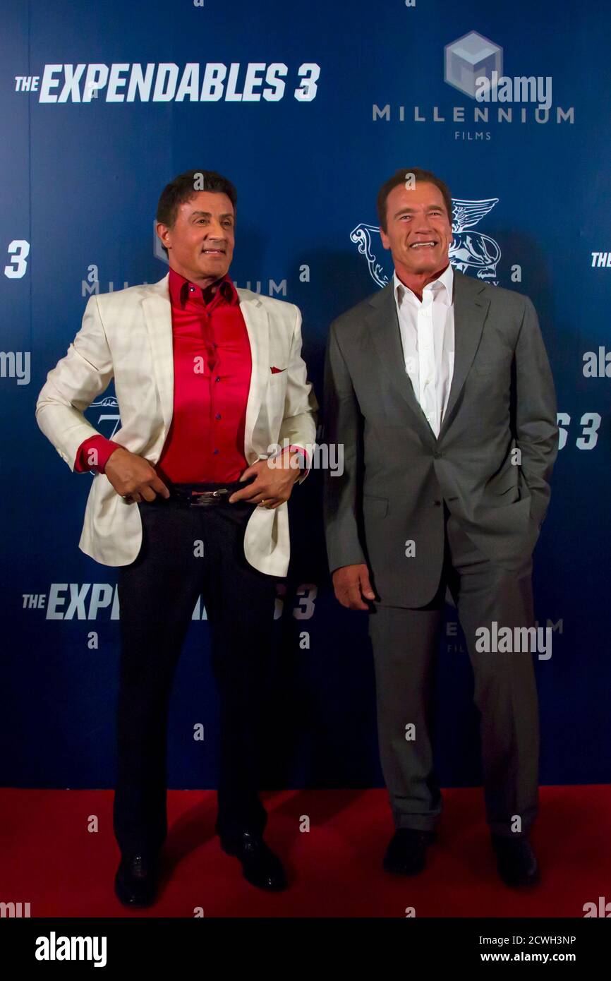 How Tall Is Sylvester Stallone Really Telegraph