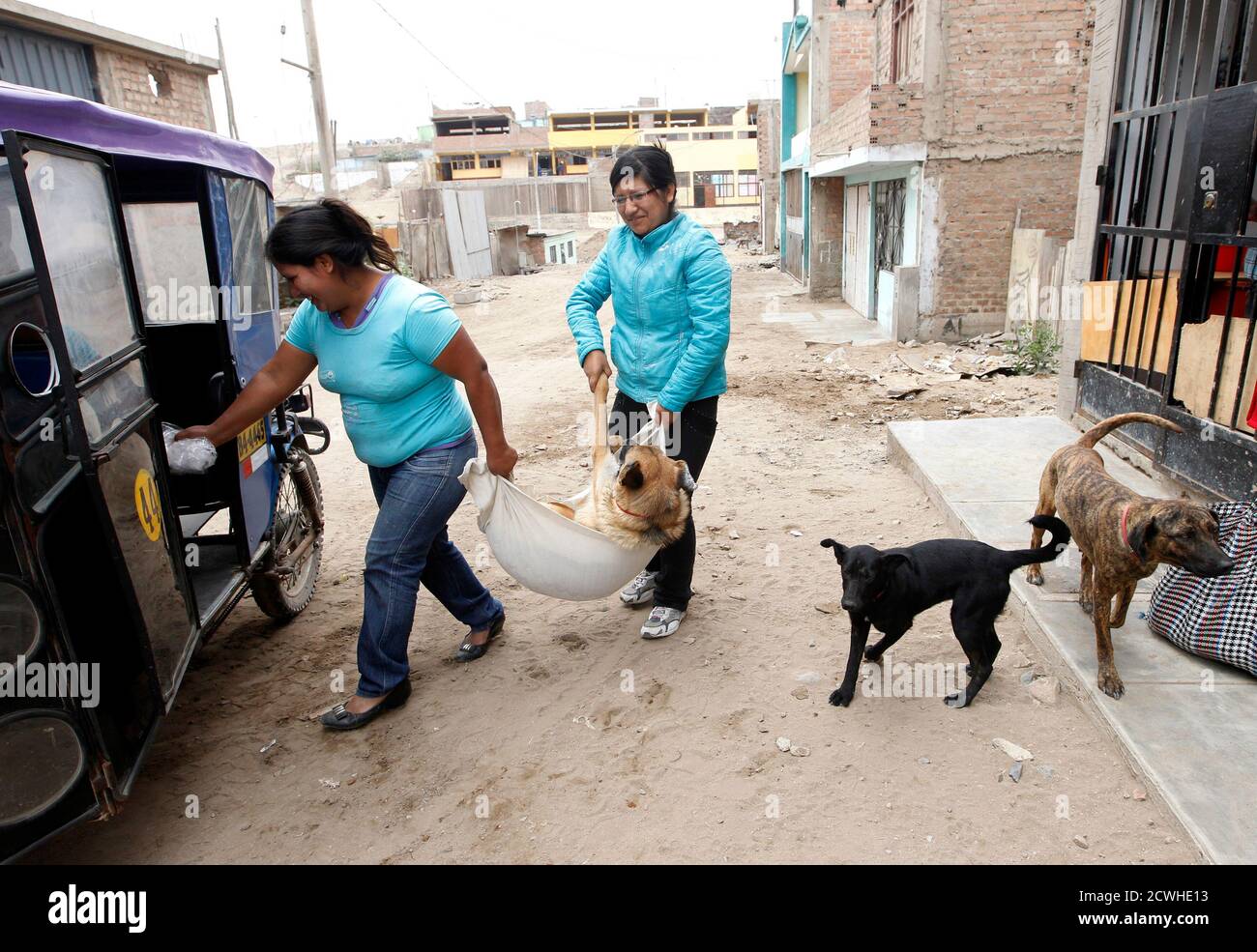 Owners carry their sterilized dog to a motorised rickshaw as they leave  Oasis, a veterinary clinic, in Lima's shanty town of Villa El Salvador  November 27, 2012. Veterinarians and animal activists in
